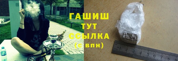 стаф Аркадак