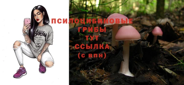 молекула духа Арсеньев