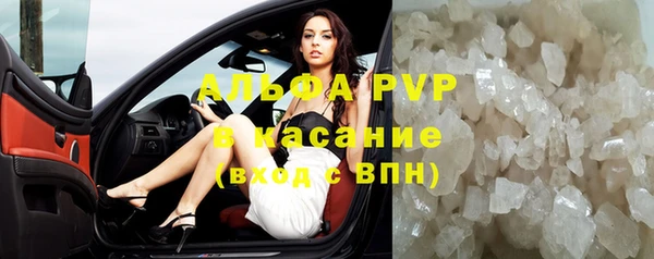 молекула духа Арсеньев