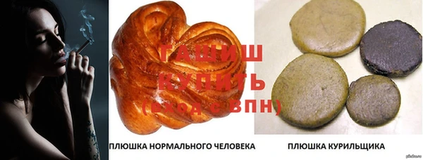 молекула духа Арсеньев