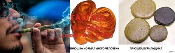 стаф Аркадак