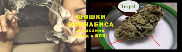 молекула духа Арсеньев