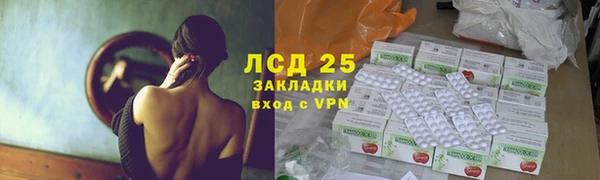 стаф Аркадак
