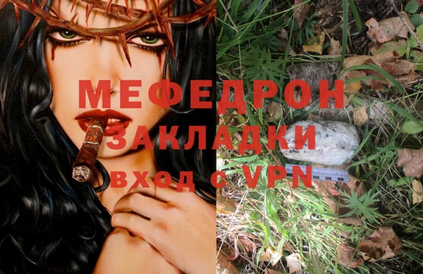 стаф Аркадак