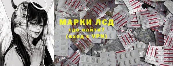 стаф Аркадак