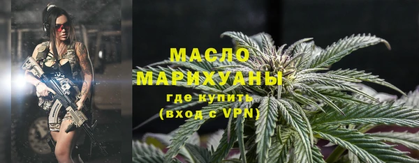 молекула духа Арсеньев