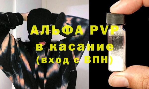 молекула духа Арсеньев