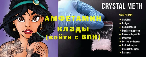 стаф Аркадак