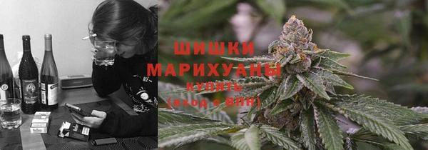 стаф Аркадак