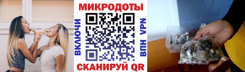 Псилоцибиновые грибы Cubensis  где купить   Армянск 